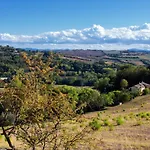 Salvarosa