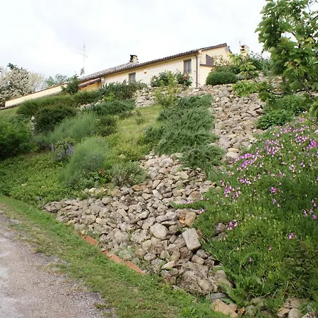 Salvarosa