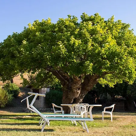 Bed & Breakfast Salvarosa Fano (Pesaro and Urbino)