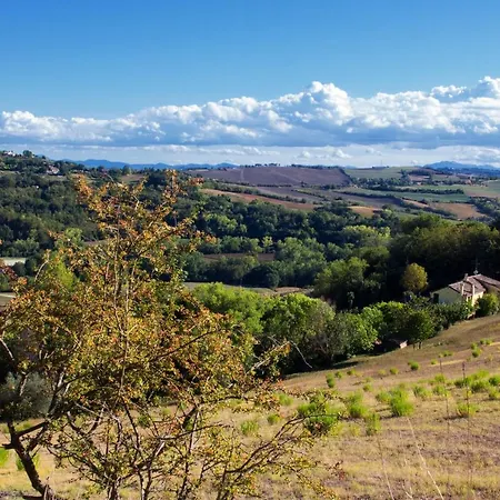 Salvarosa