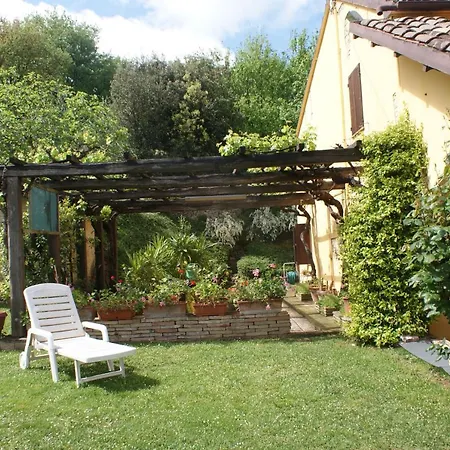 Salvarosa Fano