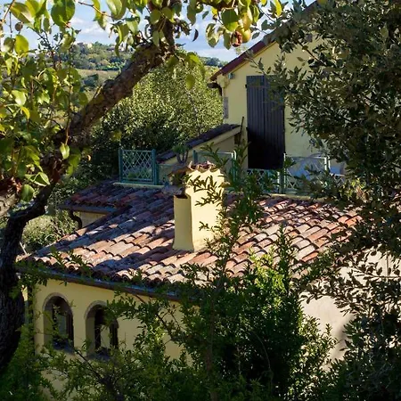 Salvarosa Fano