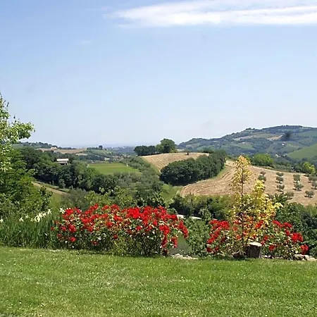 Salvarosa