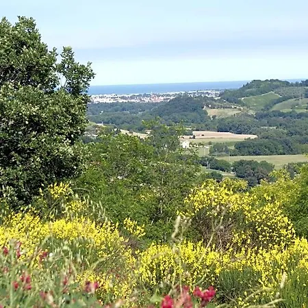 Salvarosa 3*
