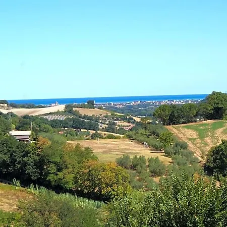 Salvarosa