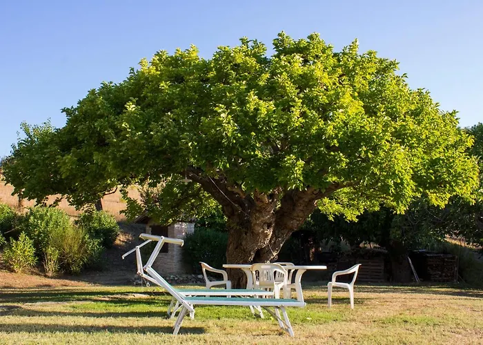 住宿加早餐酒店 Salvarosa 法诺