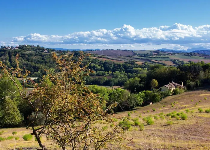Salvarosa